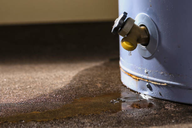 Best Water damage restoration near me  in Long Beach, MS