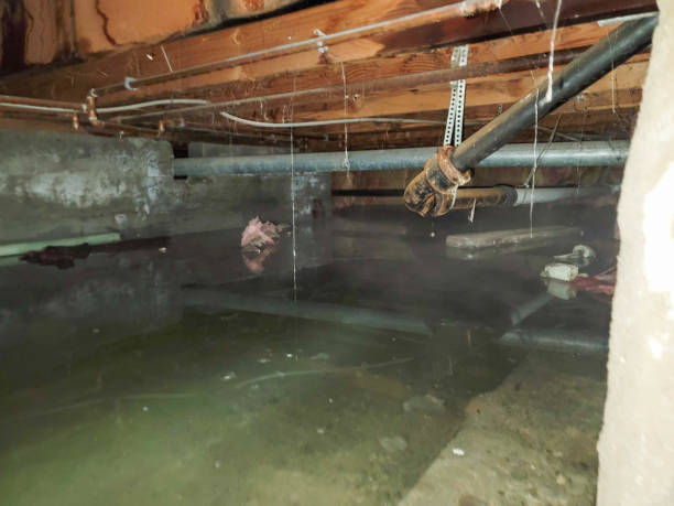 Best Ceiling water damage repair  in Long Beach, MS