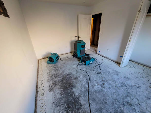 24/7 water damage repair in MS