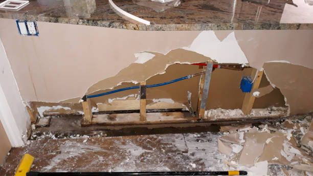 Best Ceiling water damage repair  in Long Beach, MS