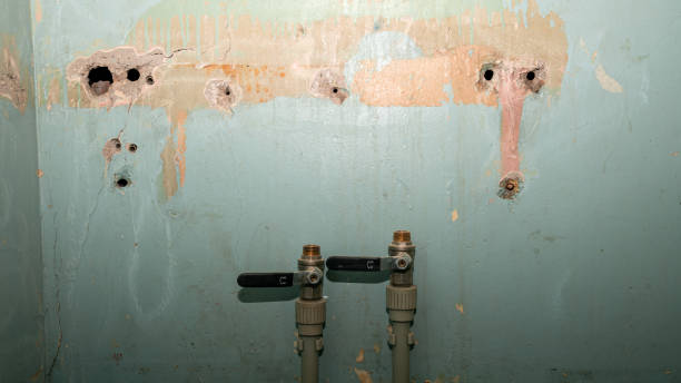 Best Mold removal after water damage  in Long Beach, MS