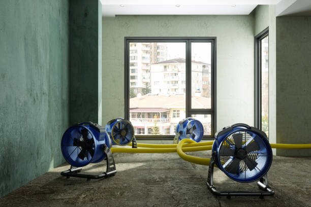 Best Commercial water damage restoration  in Long Beach, MS