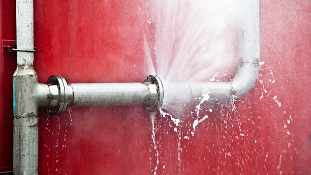 Best Flood restoration services  in Long Beach, MS